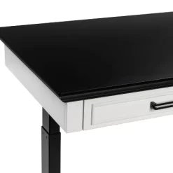 47" Losondo Transitional Height Adjustable Desk With USB Ports - HOMES: Inside + Out 27 47" Losondo Transitional Height Adjustable Desk With USB Ports - HOMES: Inside + Out -Furniture Specialty Store GUEST 0180c78e 955b 4879 bee3 730be90986ca