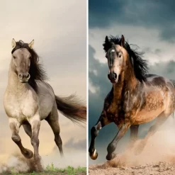 6" Double Sided Galloping Horses Canvas Room Divider - Oriental Furniture -Furniture Specialty Store GUEST 06ef48f6 673a 4b8b b6aa b8f87c2ed2e0