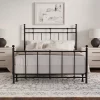 ELuxury Dexter Metal Modern Farmhouse And Footboard