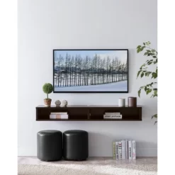Eglantine Floating Console TV Stand For TVs Up To 60" - MiBasics 16 Eglantine Floating Console TV Stand For TVs Up To 60" - MiBasics -Furniture Specialty Store GUEST 1da944b6 c2a1 4328 80c1 3249839ef6a7