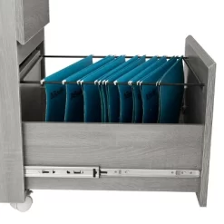Rolling 2 Drawer Vertical File Cabinet With Lock And Storage Gray - Techni Mobili -Furniture Specialty Store GUEST 613d2e0c 1f80 46a2 b86a 817f50dd11d1