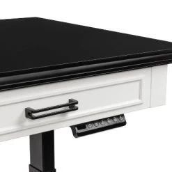 47" Losondo Transitional Height Adjustable Desk With USB Ports - HOMES: Inside + Out 25 47" Losondo Transitional Height Adjustable Desk With USB Ports - HOMES: Inside + Out -Furniture Specialty Store GUEST 7fca3e26 d0dd 47f9 ad5b bb181e653bff