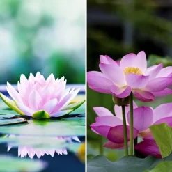 6" Double Sided Lotus Blossom Canvas Room Divider Green - Oriental Furniture -Furniture Specialty Store GUEST 92cfeb14 b8f3 4443 a858 379a7524a2ca