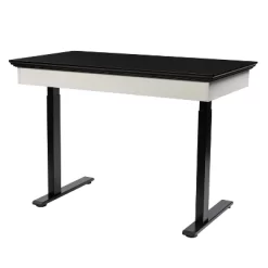 47" Losondo Transitional Height Adjustable Desk With USB Ports - HOMES: Inside + Out 20 47" Losondo Transitional Height Adjustable Desk With USB Ports - HOMES: Inside + Out -Furniture Specialty Store GUEST a8a19656 062a 46a2 846c b0c21cd7352a