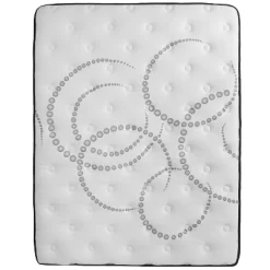 Emma And Oliver 14" Platform Bed Frame & 12" Mattress In A Box - No Box Spring Required -Furniture Specialty Store GUEST d2fc7724 6dd1 402f 8f7f b8e9f7df001d