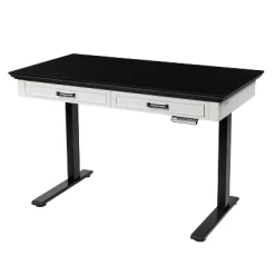 47" Losondo Transitional Height Adjustable Desk With USB Ports - HOMES: Inside + Out 30 47" Losondo Transitional Height Adjustable Desk With USB Ports - HOMES: Inside + Out -Furniture Specialty Store GUEST da96948d 2d54 4ce4 9160 a3b64456955f